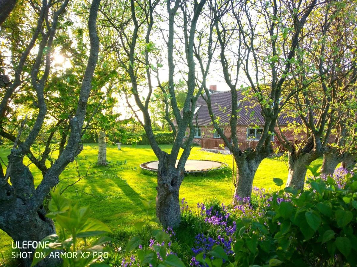 Lilleledgaard Country House Ringkobing Luaran gambar